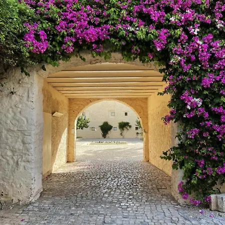 Apartamento Luxury Penthouse With 2 Pools In A Monastery *